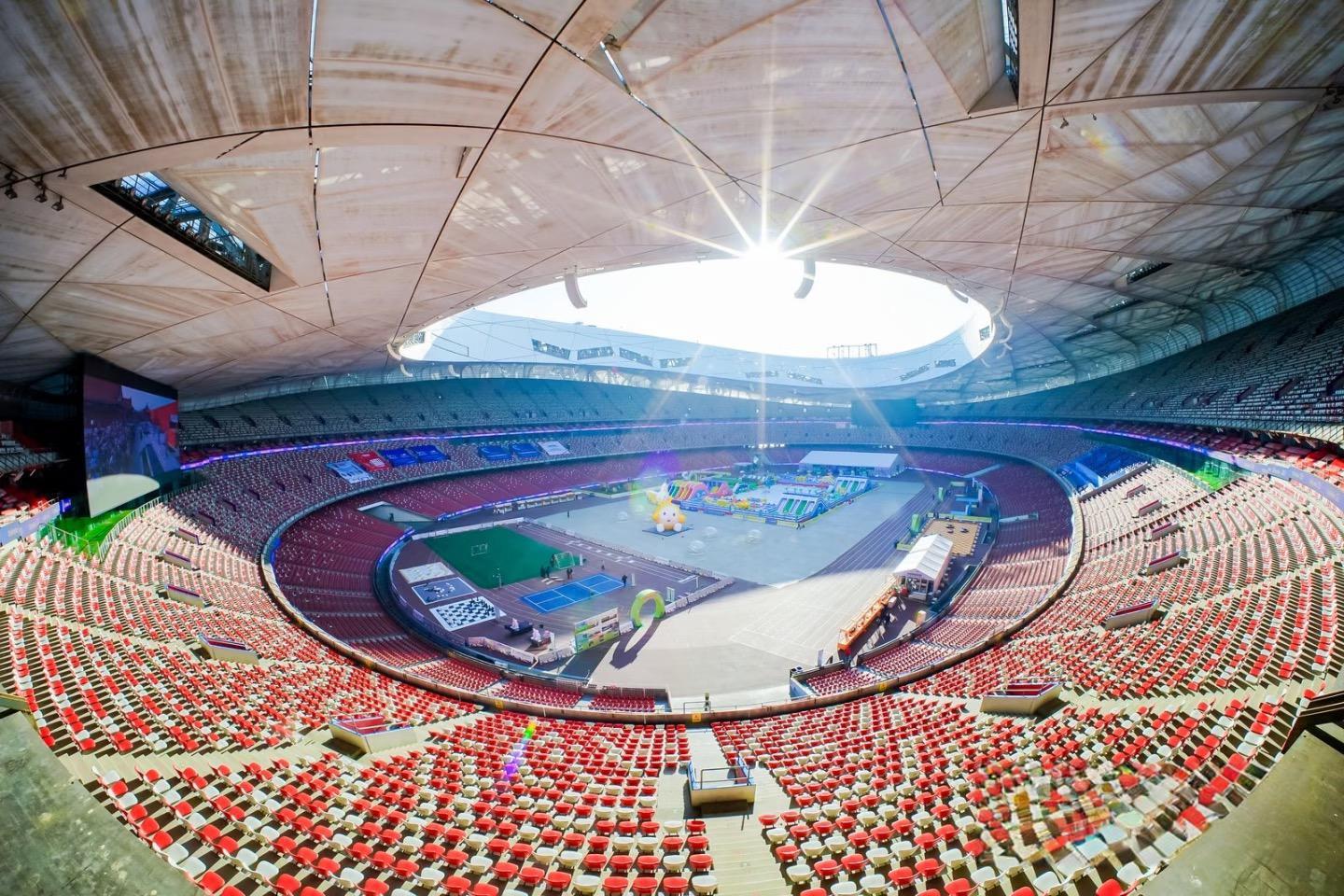 Bird's Nest